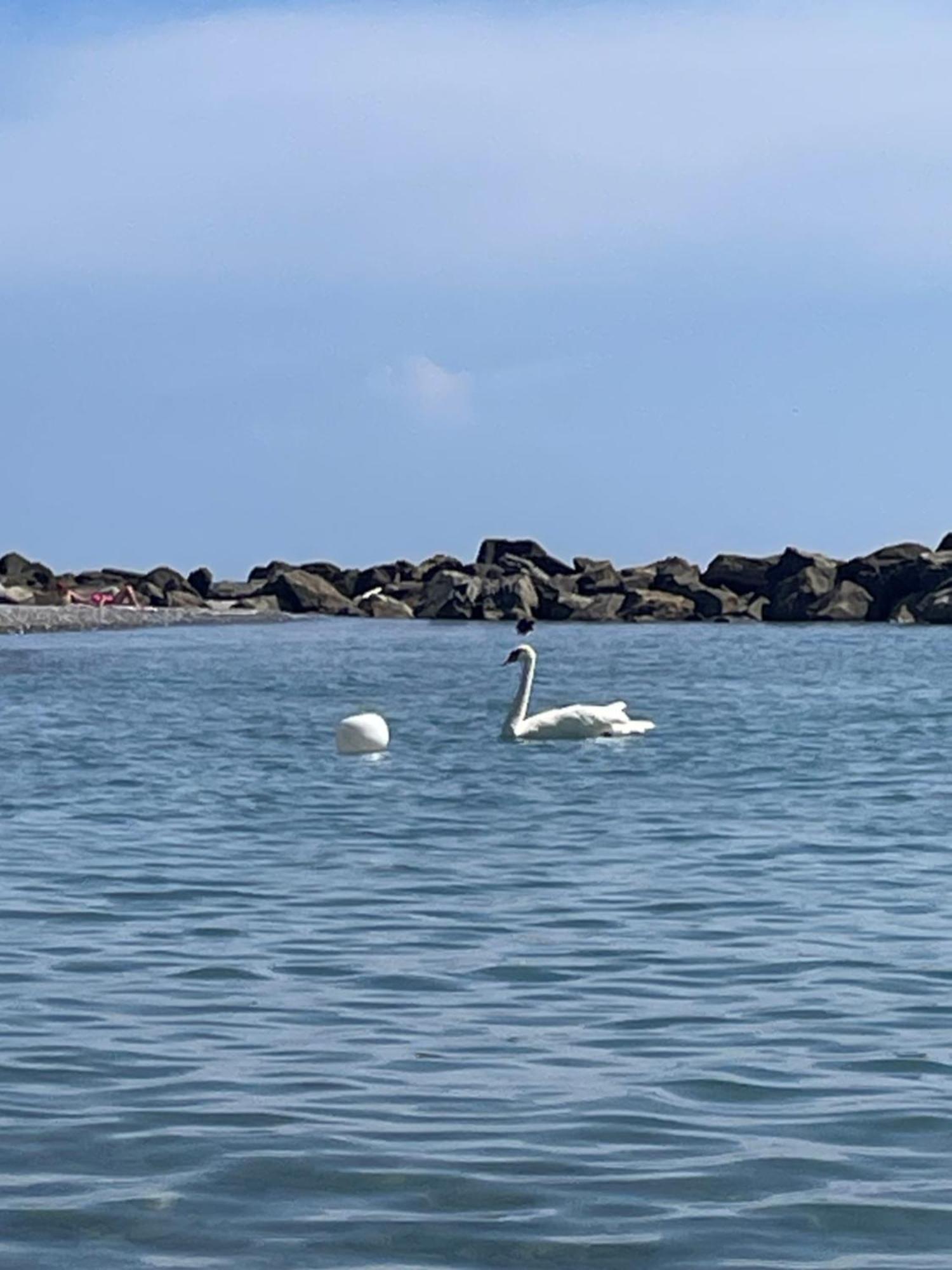 Casa Aiga Marina Lägenhet Ventimiglia Exteriör bild